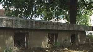 Кучешки тоалетни в парка