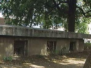 кучешки тоалетни парка