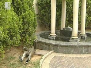 опитаха откраднат аполон