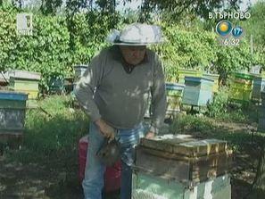 седмица меда