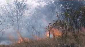 Пожарът край Костинброд