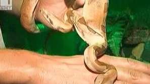 Уникални влечуги в Пловдив