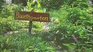 Български ученици на стаж в Германия