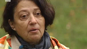 Зелена светлина: Създават Зелен клъстър