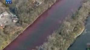 Любопитна хроника от света