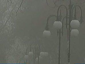 мъглата здравето