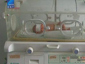 българската коледа