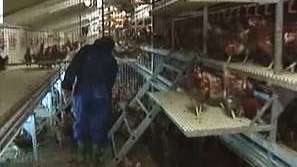 Научна цензура в САЩ