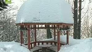 Забрана на Витоша