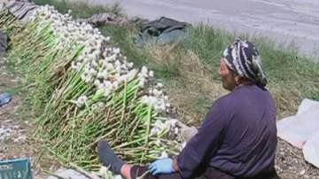 Огромни щети за стопаните след пороите и градушките