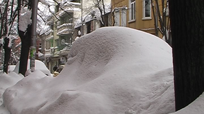 Снегоизвозване във Враца