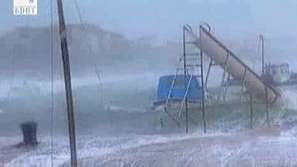 Зелена светлина: Диви животни при зимни условия