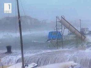 Зелена светлина: Диви животни при зимни условия