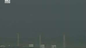 Зелена светлина: За живота, който се лута в мъртвата зона край АЕЦ Фукушима