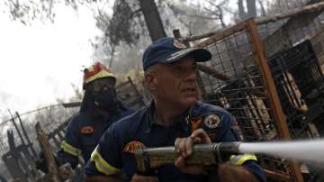  ​Пожарът на остров Евбея аргументи екологична злополука (Снимки) 