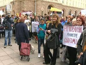 създават зоополиция заради уличните кучета