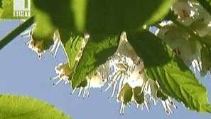 Времето през месец май