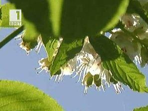 времето месец