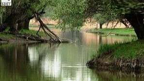 Зелена светлина: Амазонка на Европа