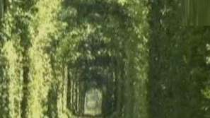 Тунел на любовта в Украйна