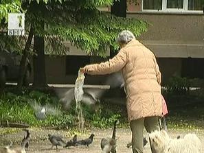 Babata Koyato Hraneshe Kotkite Po Sveta I U Nas Bnt Novini