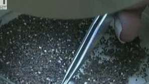 Диаманти в Светите земи