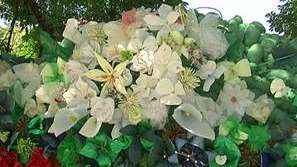 Венец за Ботев