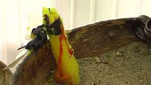 Духовно чудо във Враца