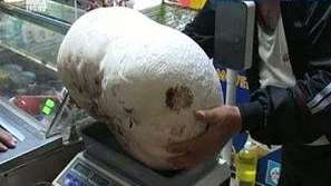 Гъба над 9 килограма в с. Каменяк