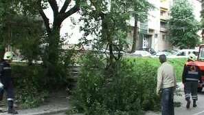 Градушка и проливен дъжд в Шуменско