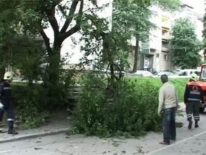 градушка проливен дъжд шуменско