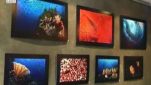 Подводна приказка на Мартин Христов