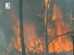 Огнен капан в Сибир