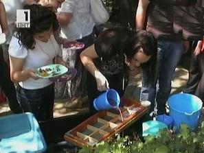 садиш картичка расте трева