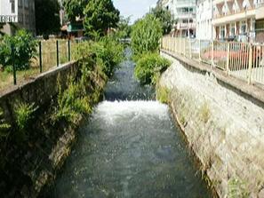 наблюдателно око обрасъл канал дървета