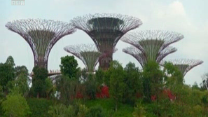Зелена светлина: Супердърветата на Сингапур