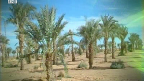 Зелена светлина: Африканско слънце за Европа