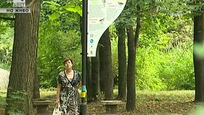 Зелена светлина на фокус: Алея за наблюдение на птици