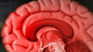 Шведски лек за алкохолизма