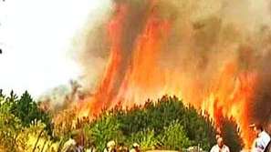 Евакуират села в Сърбия заради пожарите