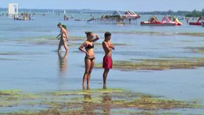 Зелена светлина: Балатон е на изчезване