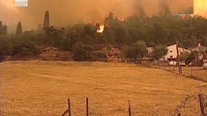 Зелена светлина на фокус