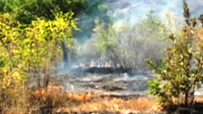 Пожар заради учебни стрелби