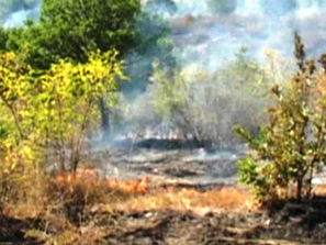 пожар заради учебни стрелби