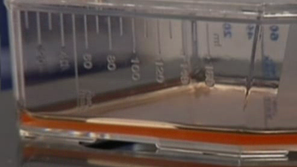 Хроника на събитията от света