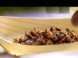 Зелена светлина: Насекомите ще изхранват човечеството