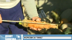 Пловдивски моркови за Гинес