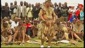 Зелена светлина: Страхът на леопарда