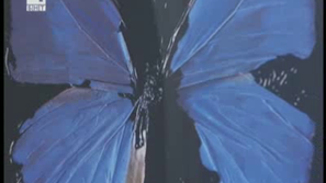 Докато смъртта ни раздели