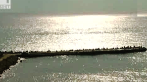 Ден на Черно море